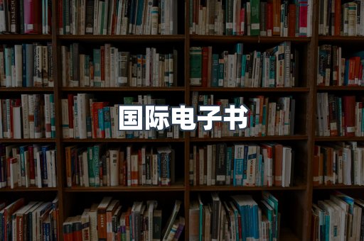 国际电子书